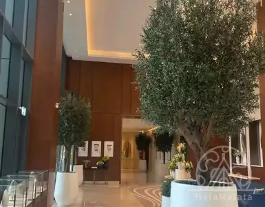 Купить квартиру в ОАЭ 1523265€
