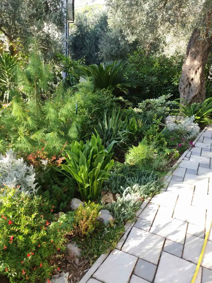 Дом 350м² в Черногории, Бар. Стоимостью 550000€ аренда фото-2