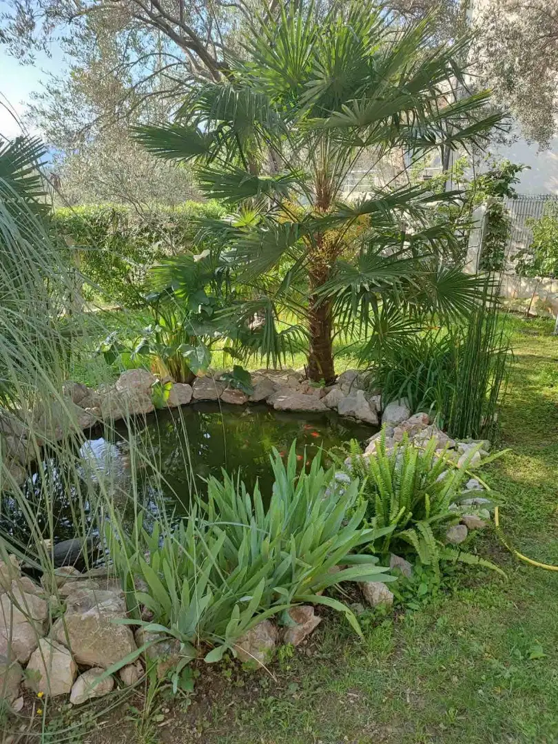 Дом 350м² в Черногории, Бар. Стоимостью 550000€ аренда фото-10