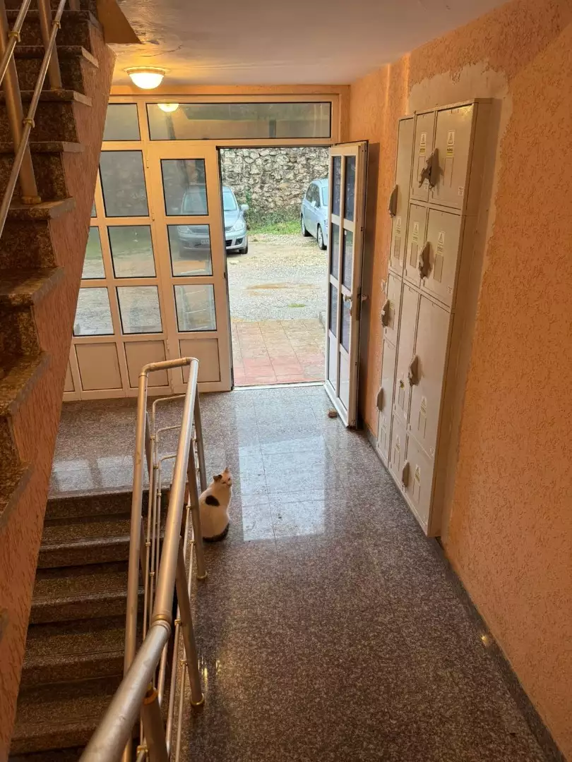 Квартира 93м² в Черногории, Утеха. Стоимостью 130000€ аренда фото-22