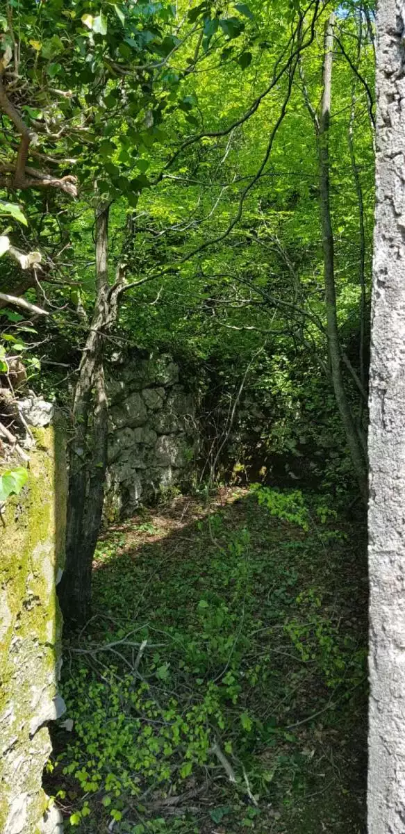 Дом 117м² в Черногории, Вирпазар. Стоимостью 105000€ аренда фото-9
