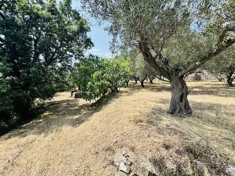 Дом 86м² в Словении, Пиран. Стоимостью 1500000€ аренда фото-6