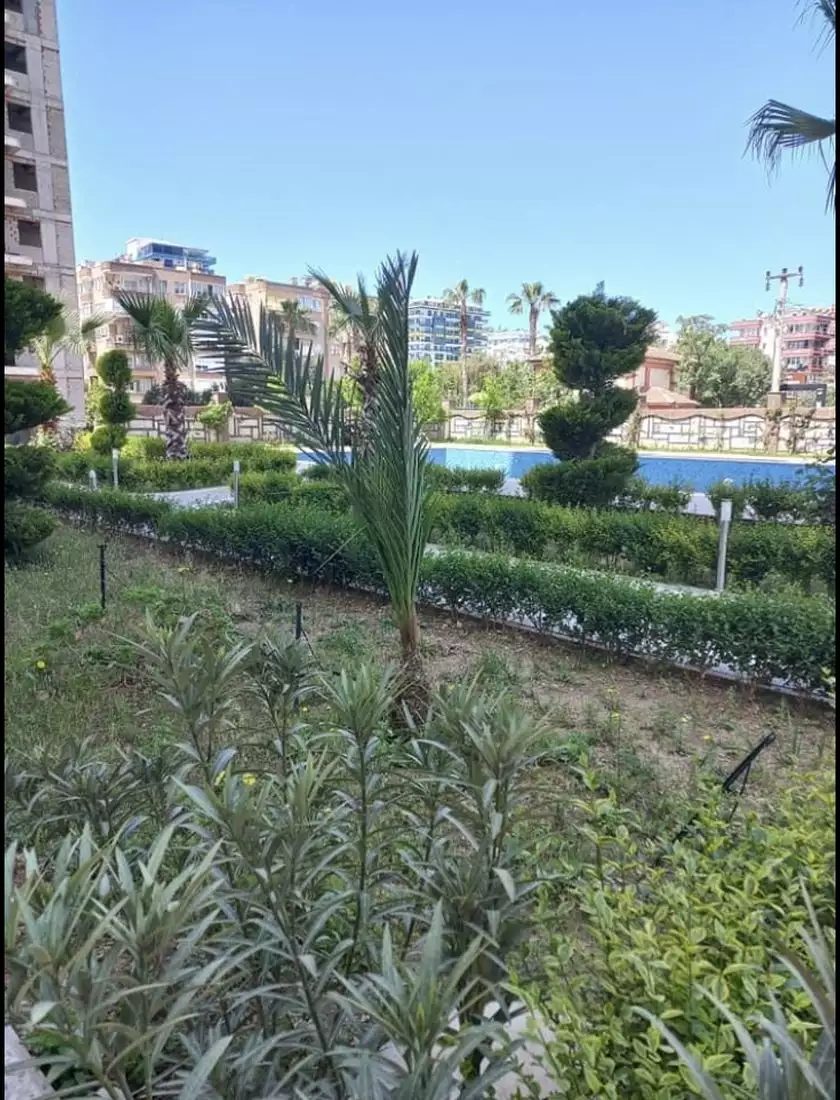 Квартира 55м² в Турции, Махмутлар. Стоимостью 103000€ аренда фото-24