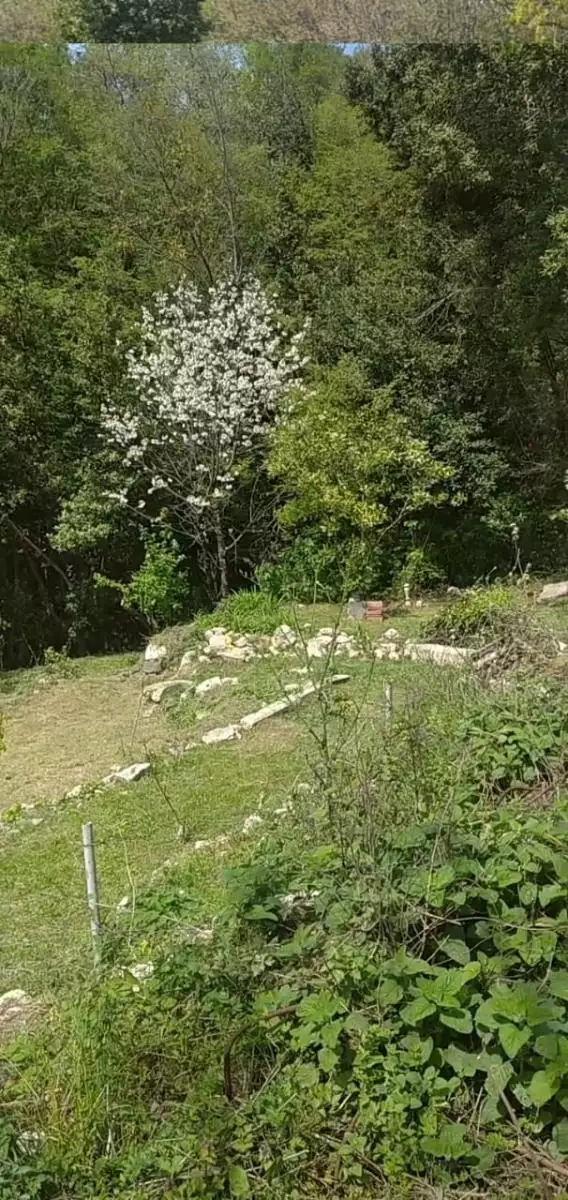 Земельный участок 1м² в Черногории, Мойдеш. Стоимостью 24000€ аренда фото-1