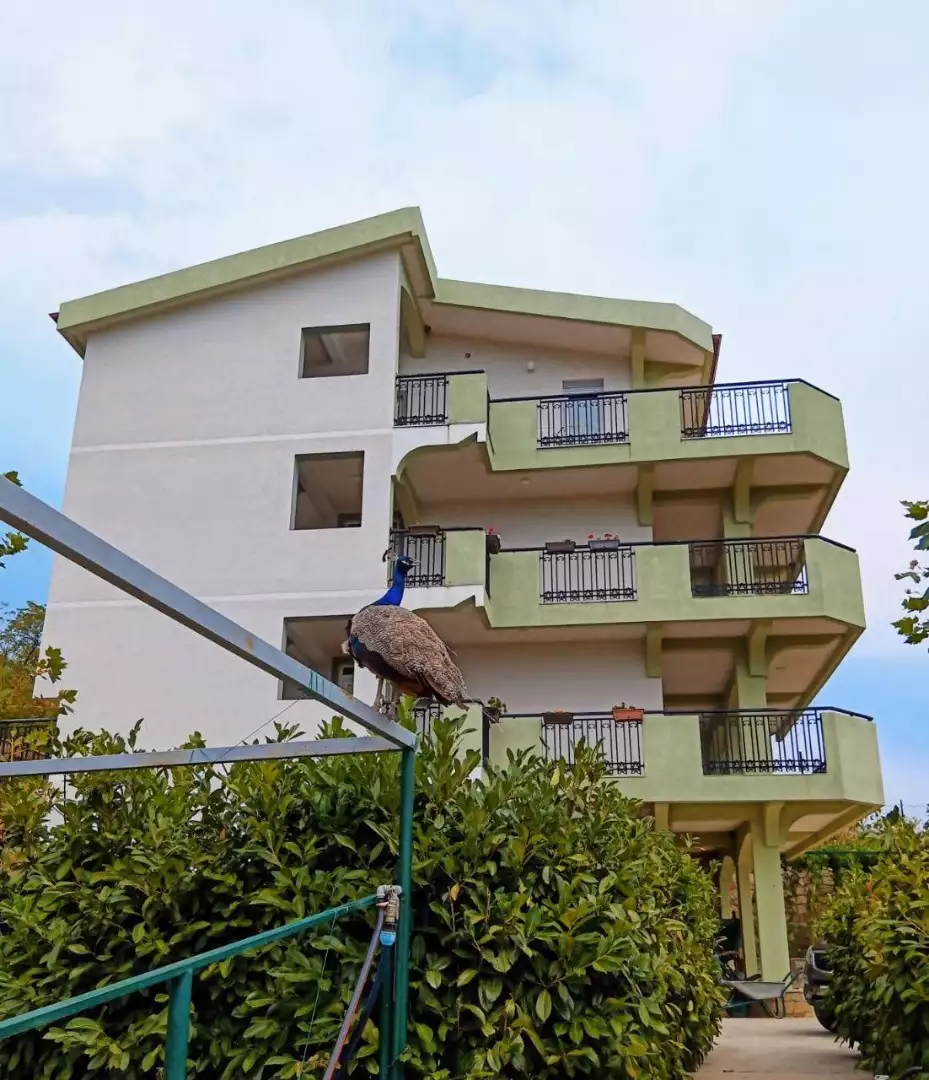Дом 450м² в Черногории, Сутоморе. Стоимостью 465000€ аренда фото-7