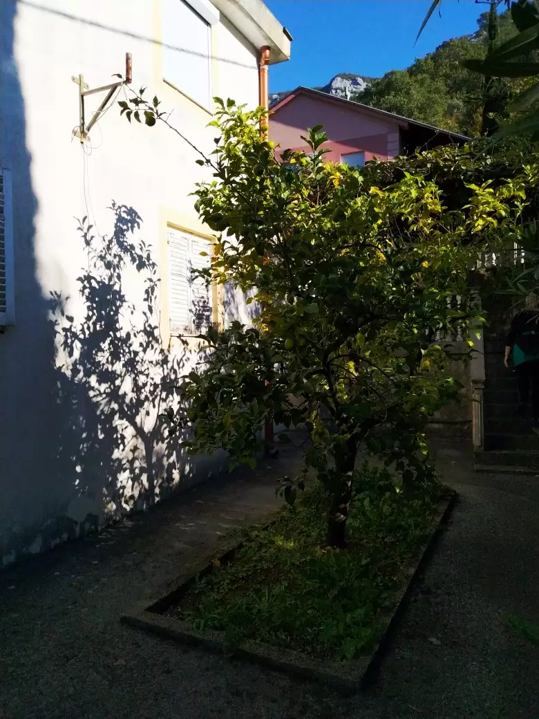 Отель, гостиница 240м² в Черногории, Чань. Стоимостью 230000€ аренда фото-14