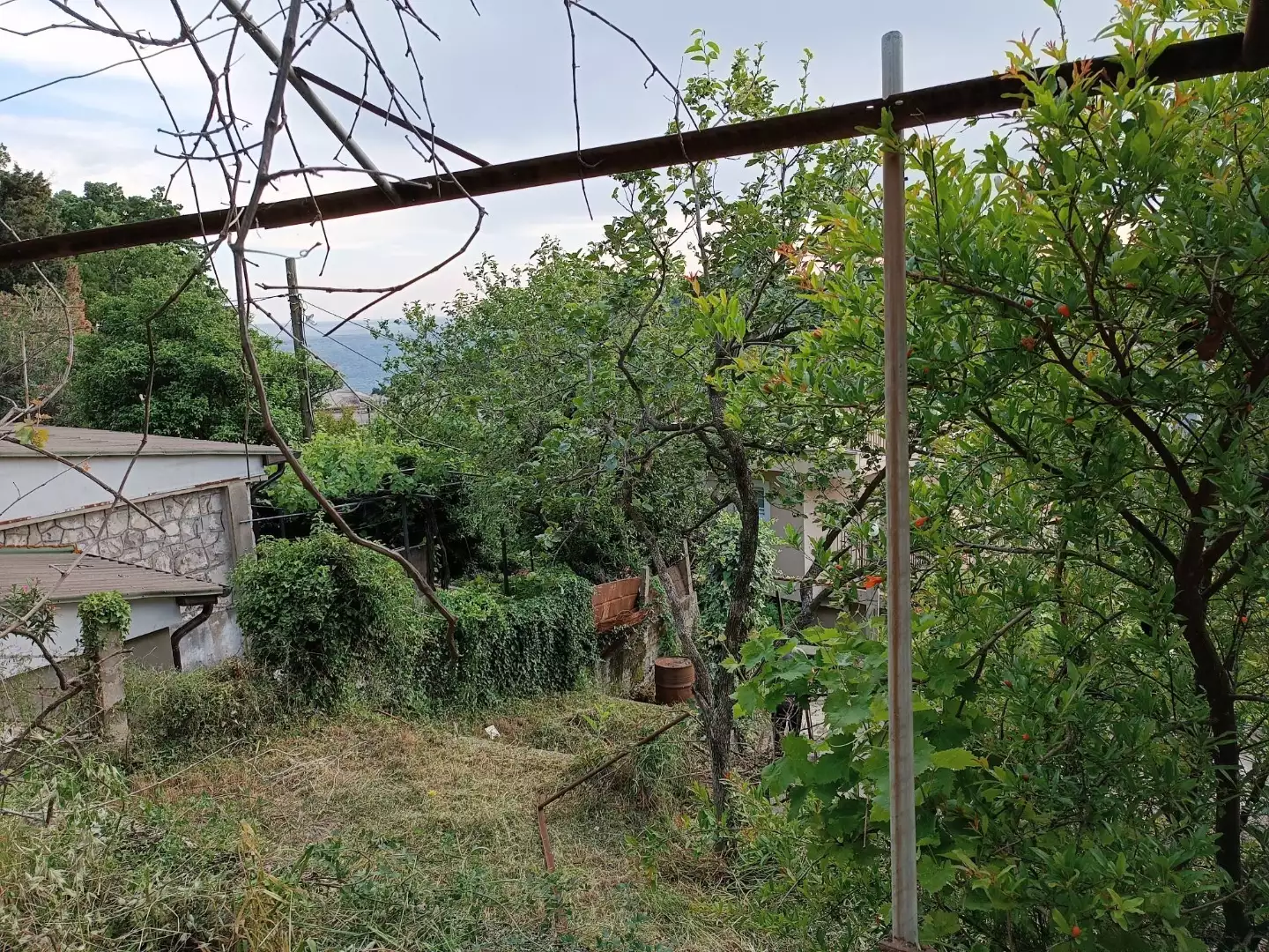 Дом 64м² в Черногории, Сутоморе. Стоимостью 60000€ аренда фото-9