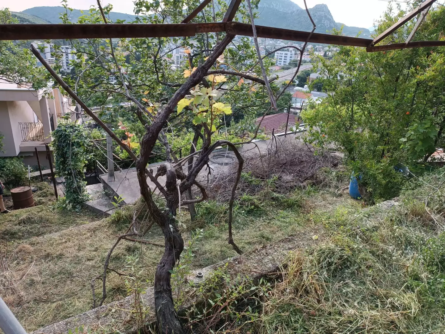 Дом 64м² в Черногории, Сутоморе. Стоимостью 60000€ аренда фото-11