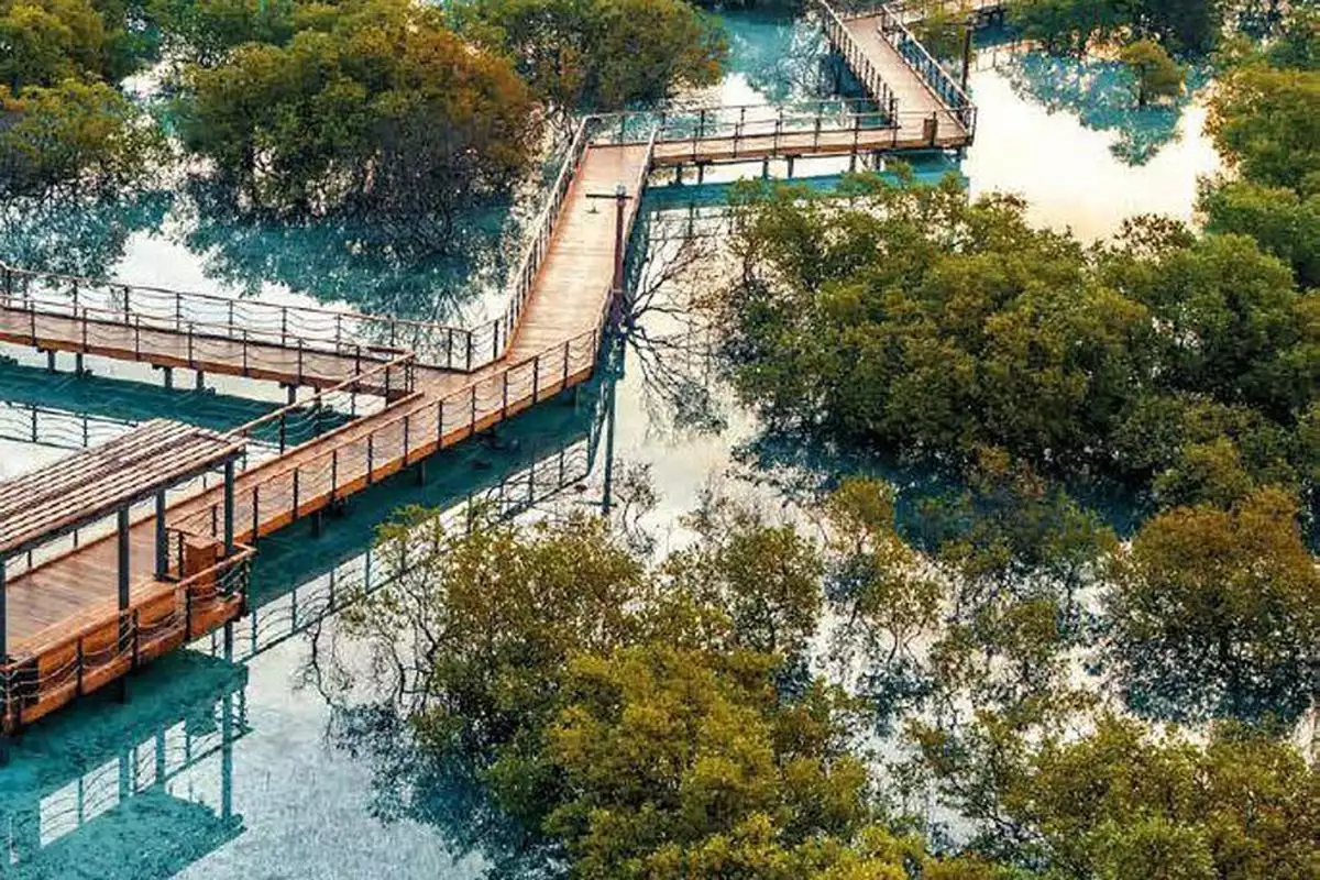 Коттедж 550м² в ОАЭ, Абу-Даби. Стоимостью 3050000€ аренда фото-10