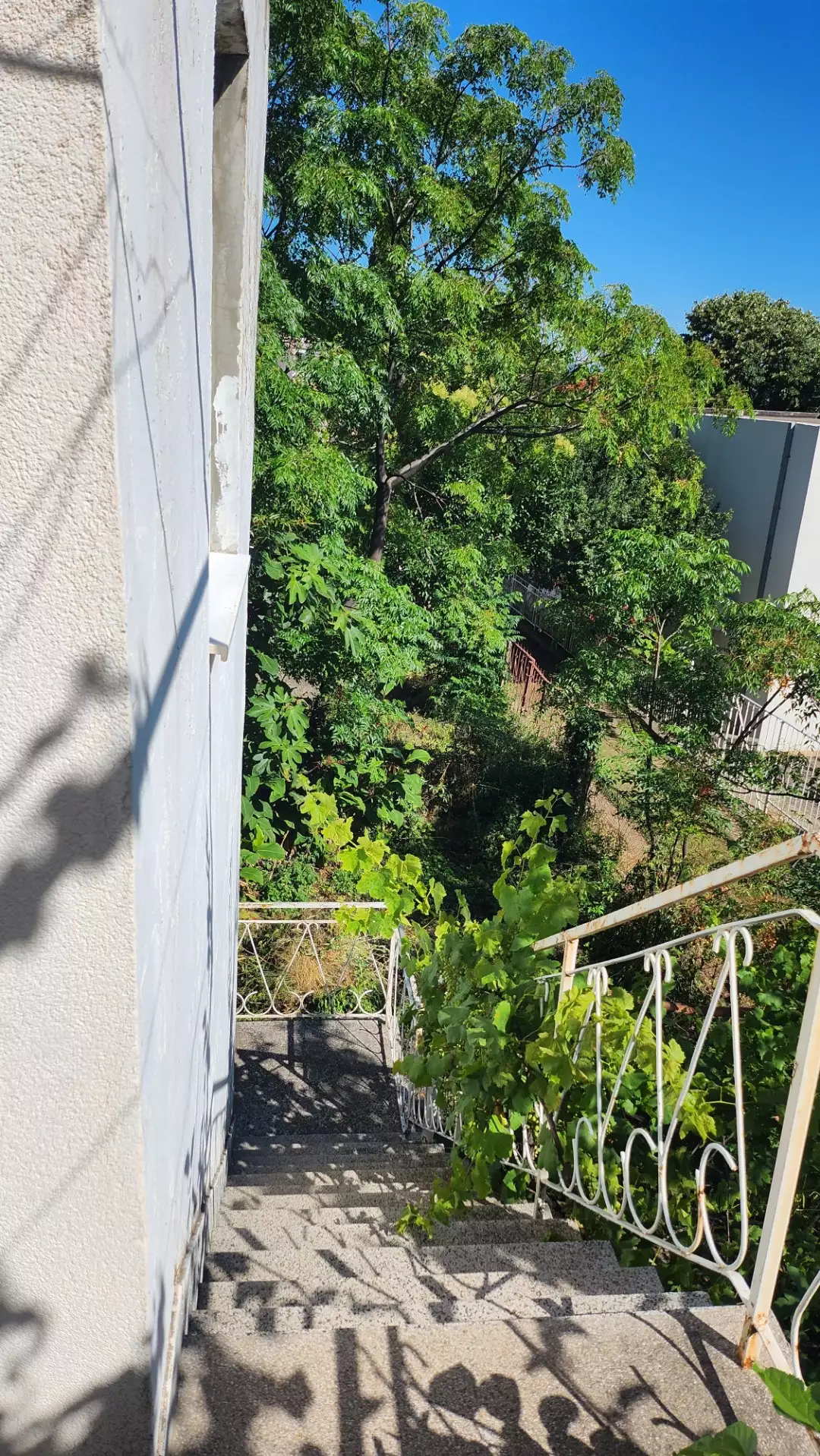 Дом 130м² в Черногории, Сутоморе. Стоимостью 135000€ аренда фото-19