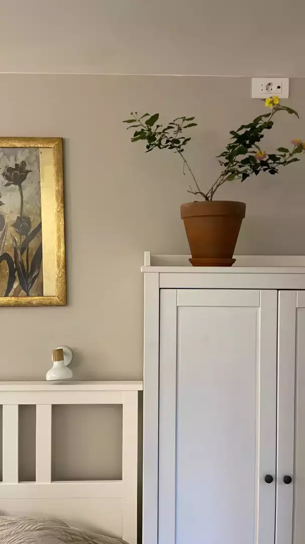 Квартира 24м² в Черногории, Херцег-Нови. Стоимостью 75000€ аренда фото-18