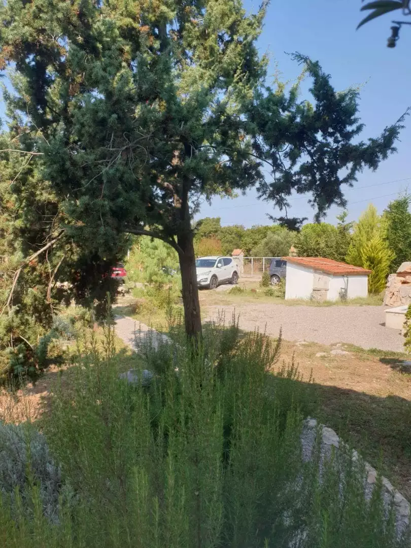 Дом 94м² в Черногории, Будва. Стоимостью 369000€ аренда фото-34
