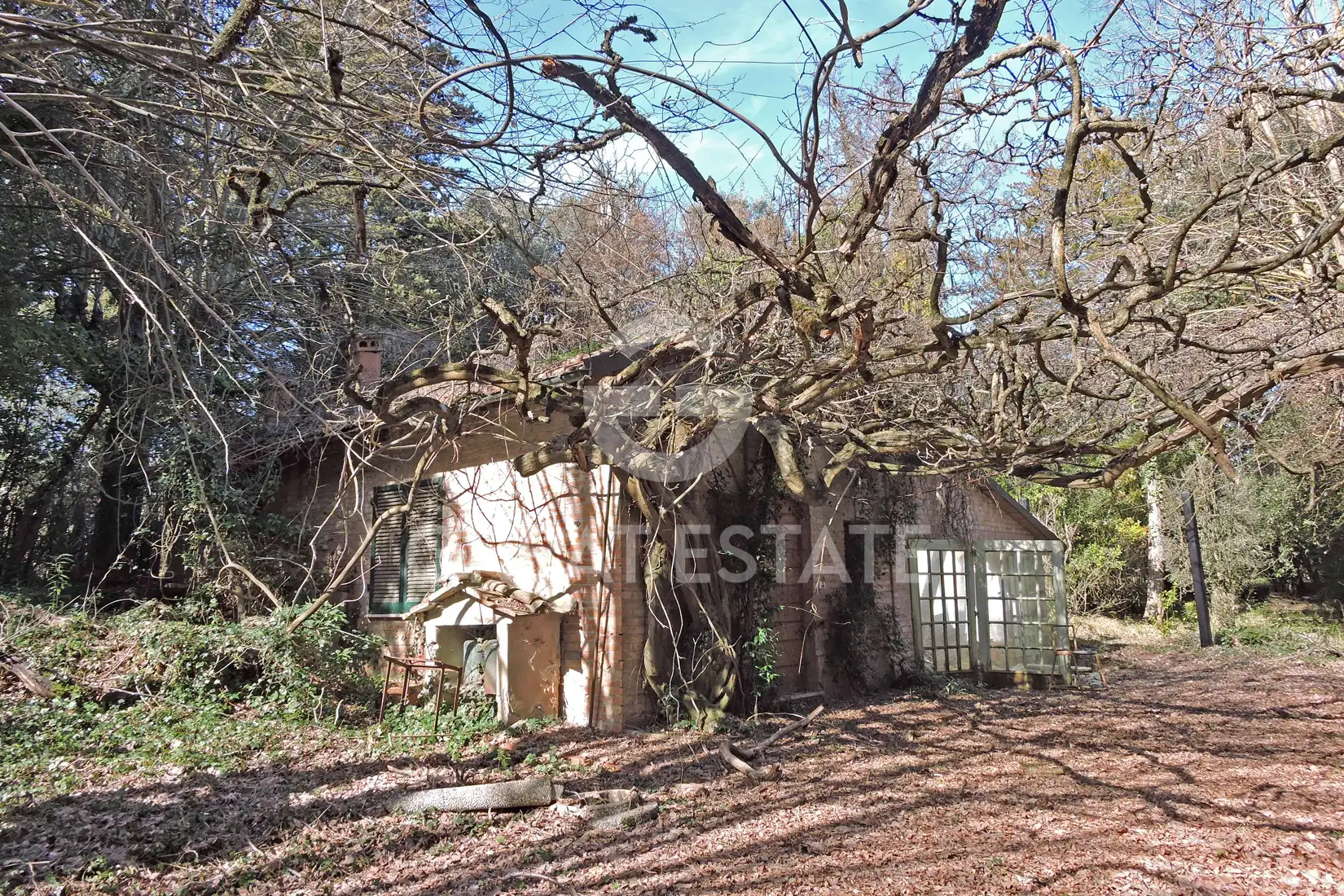 Дом 478м² в Италии, Сиена. Стоимостью 660000€ аренда фото-5