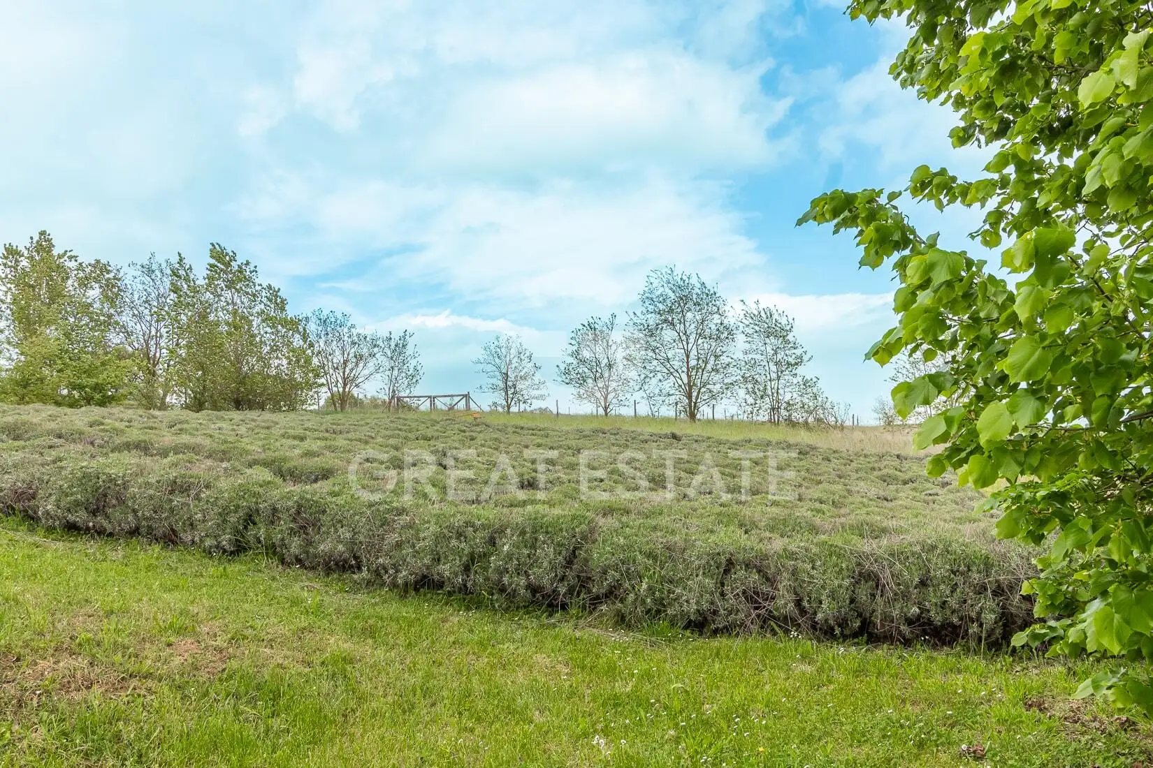 Дом 619м² в Италии, Терни. Стоимостью 890000€ аренда фото-15