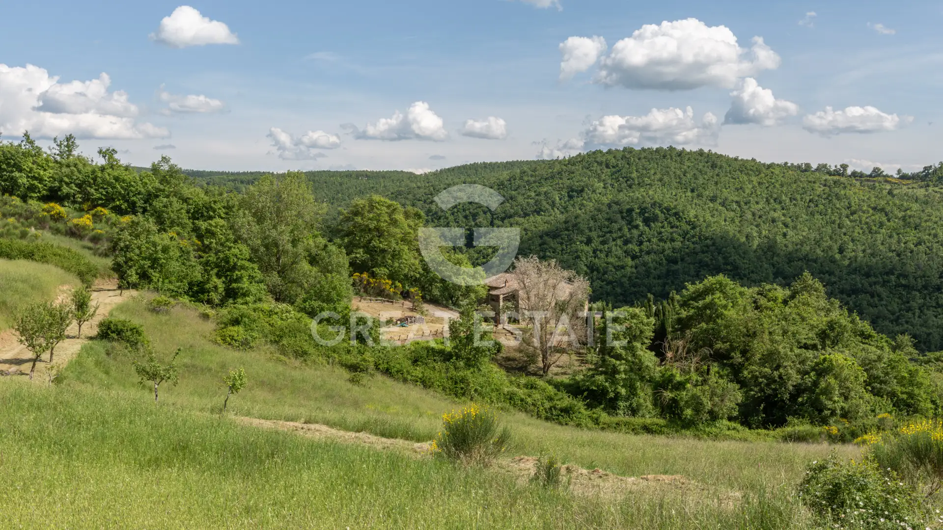 Дом 565м² в Италии, Сиена. Стоимостью 1300000€ аренда фото-5
