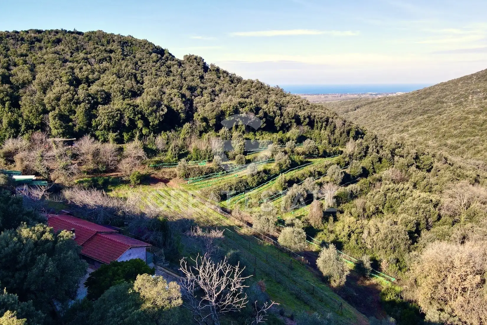 Дом 100м² в Италии, Ливорно. Стоимостью 950000€ аренда фото-1