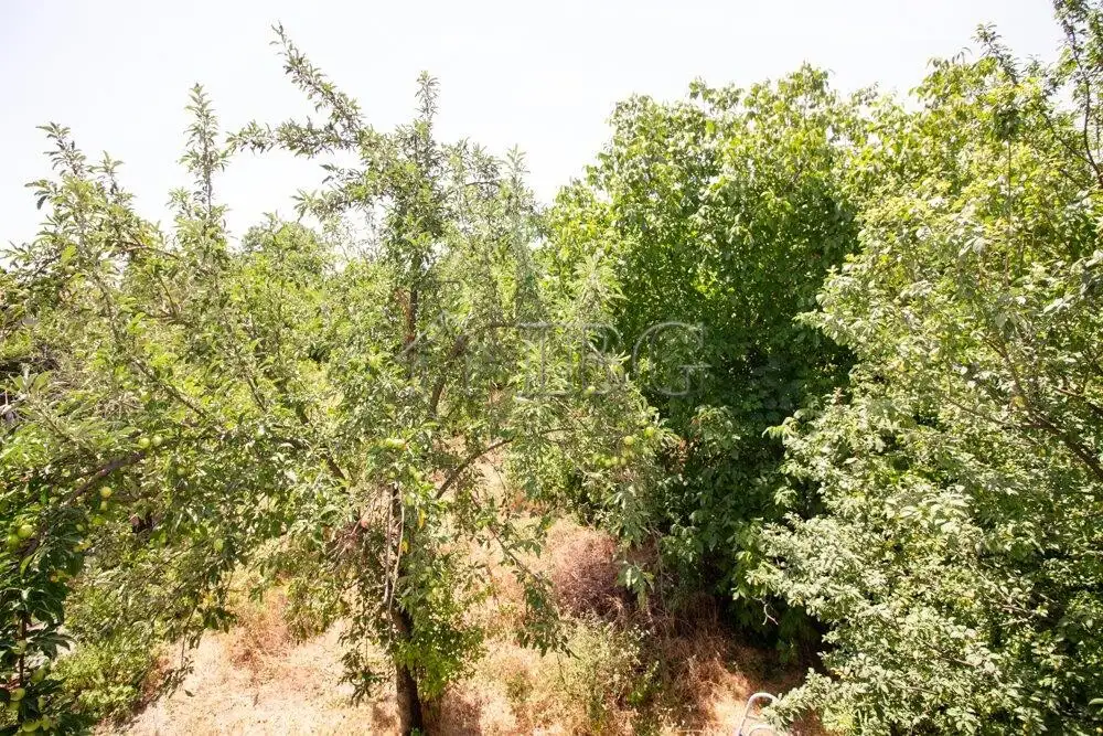 Дом 130м² в Болгарии, Павликени. Стоимостью 29900€ аренда фото-14