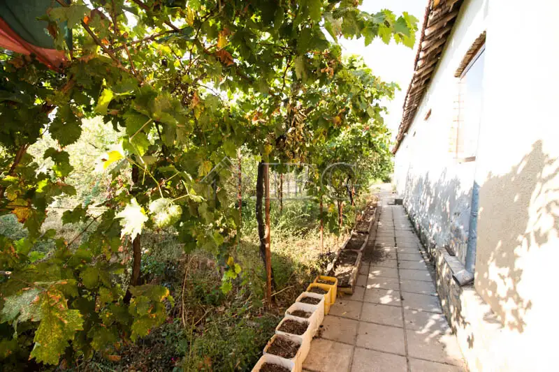 Дом 240м² в Болгарии, Базан. Стоимостью 140000€ аренда фото-4