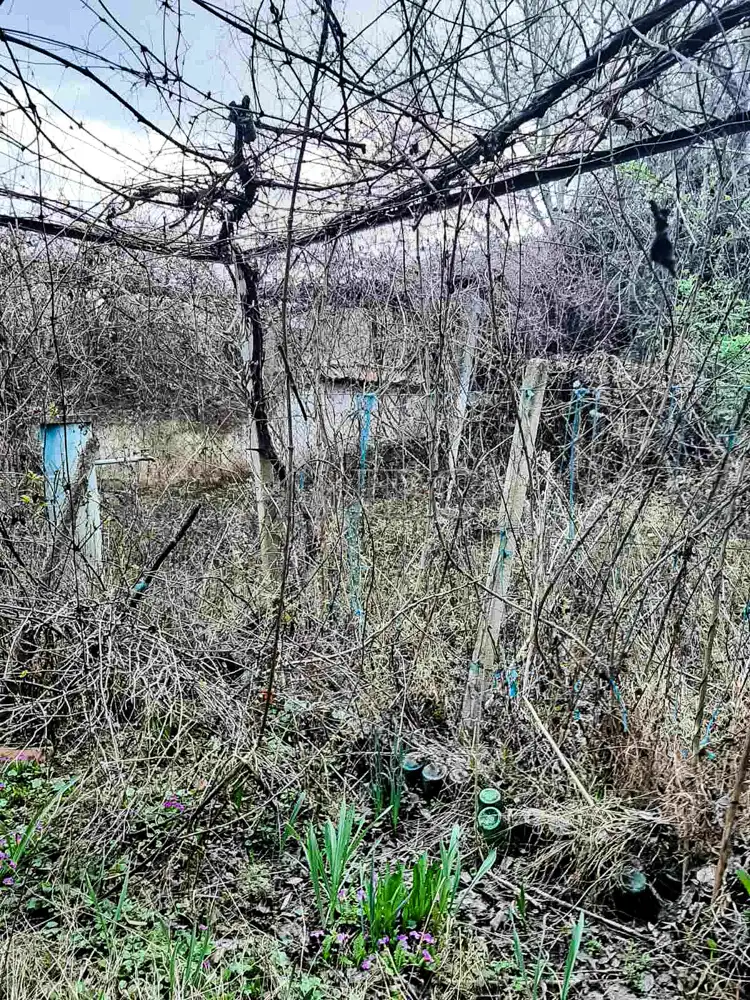 Дом 60м² в Болгарии, Златарица. Стоимостью 14500€ аренда фото-12