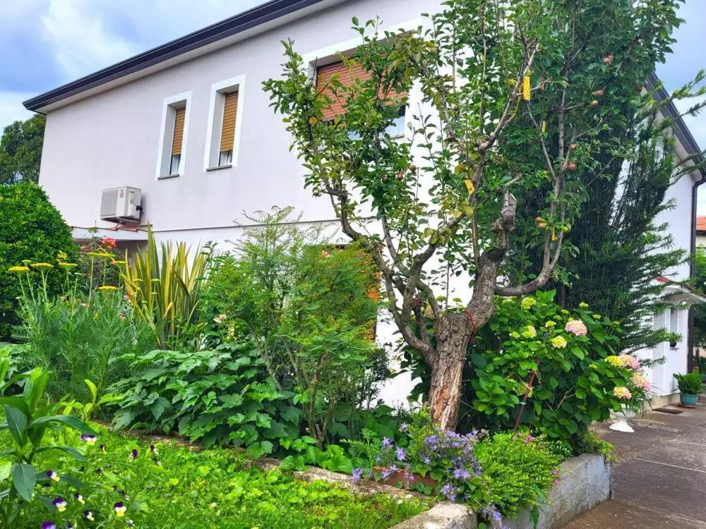 Отель, гостиница 277м² в Хорватии, Умаг. Стоимостью 540000€ аренда фото-5