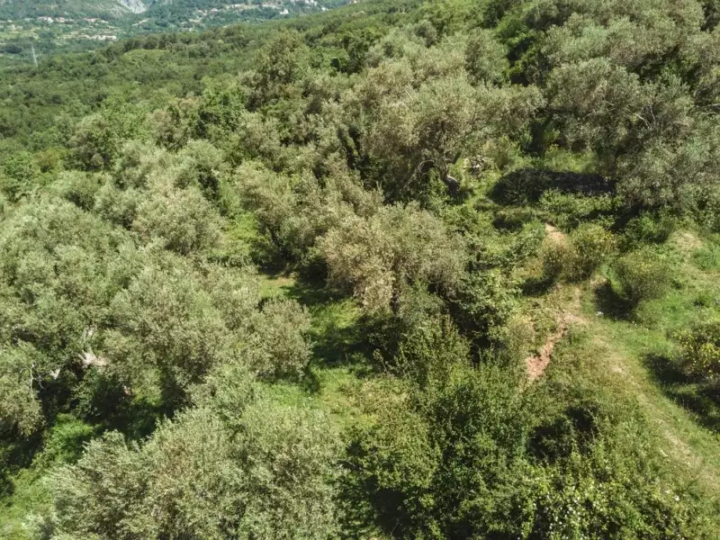 Земельный участок 1м² в Италии, Барга. Стоимостью 570000€ аренда фото-24