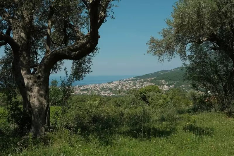 Земельный участок 1м² в Италии, Барга. Стоимостью 570000€ аренда фото-32