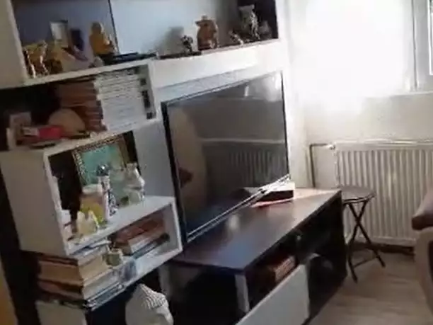 Квартира 53м² в Черногории, Хай-Нехай. Стоимостью 79000€ аренда фото-2