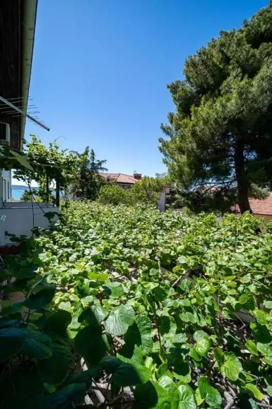 Отель, гостиница 889м² в Хорватии, Сукошан. Стоимостью 1080000€ аренда фото-21
