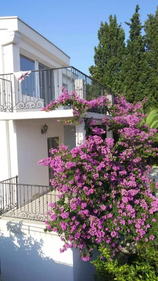 Дом 228м² в Черногории, Сутоморе. Стоимостью 400000€ аренда фото-6