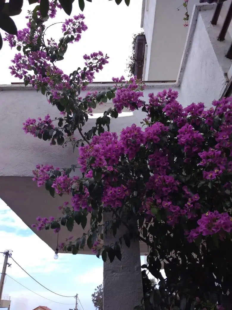 Дом 199м² в Черногории, Утеха. Стоимостью 350000€ аренда фото-5