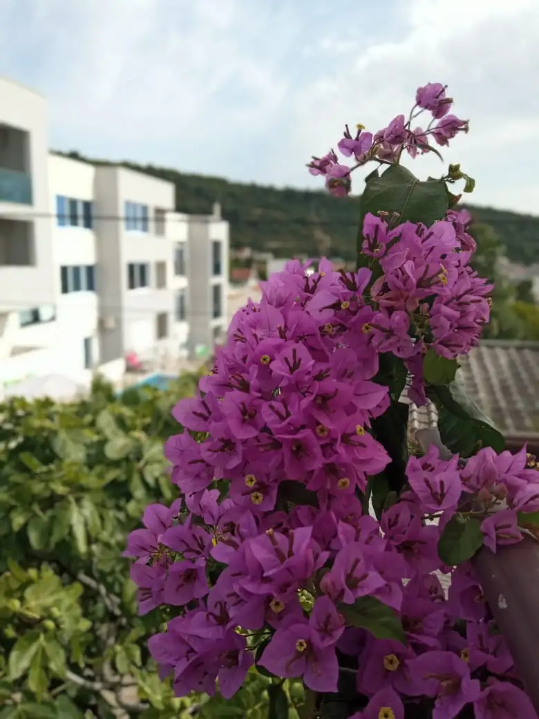 Дом 199м² в Черногории, Утеха. Стоимостью 350000€ аренда фото-8