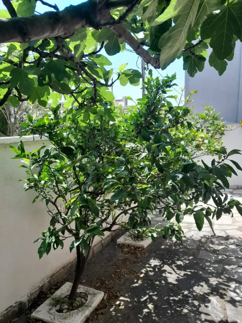 Дом 199м² в Черногории, Утеха. Стоимостью 350000€ аренда фото-33