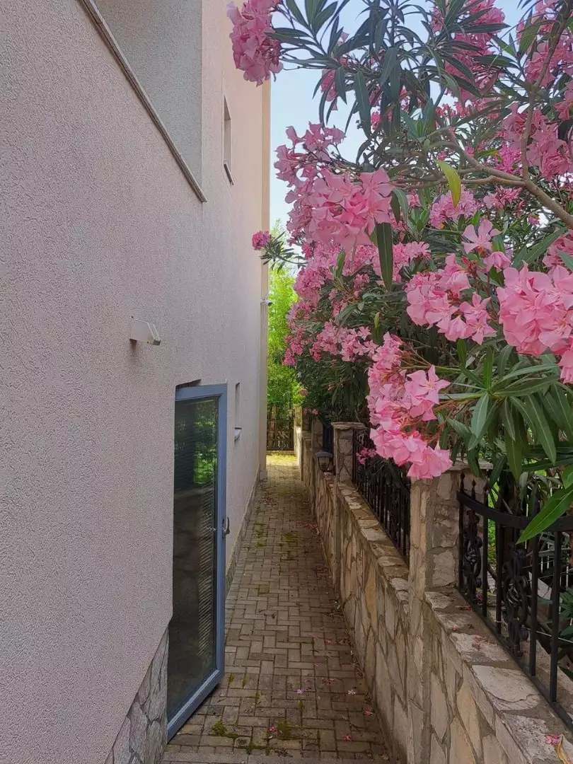 Квартира 28м² в Черногории, Утеха. Стоимостью 66000€ аренда фото-2