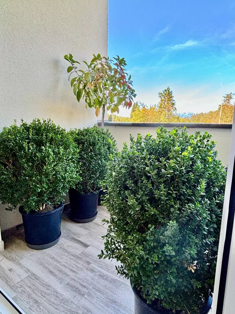 Квартира 45м² в Черногории, Радановичи. Стоимостью 125000€ аренда фото-8