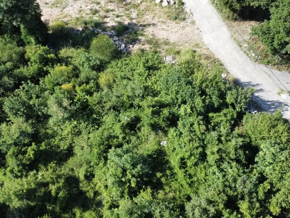 Земельный участок 1м² в Черногории, Сутоморе. Стоимостью 34000€ аренда фото-3