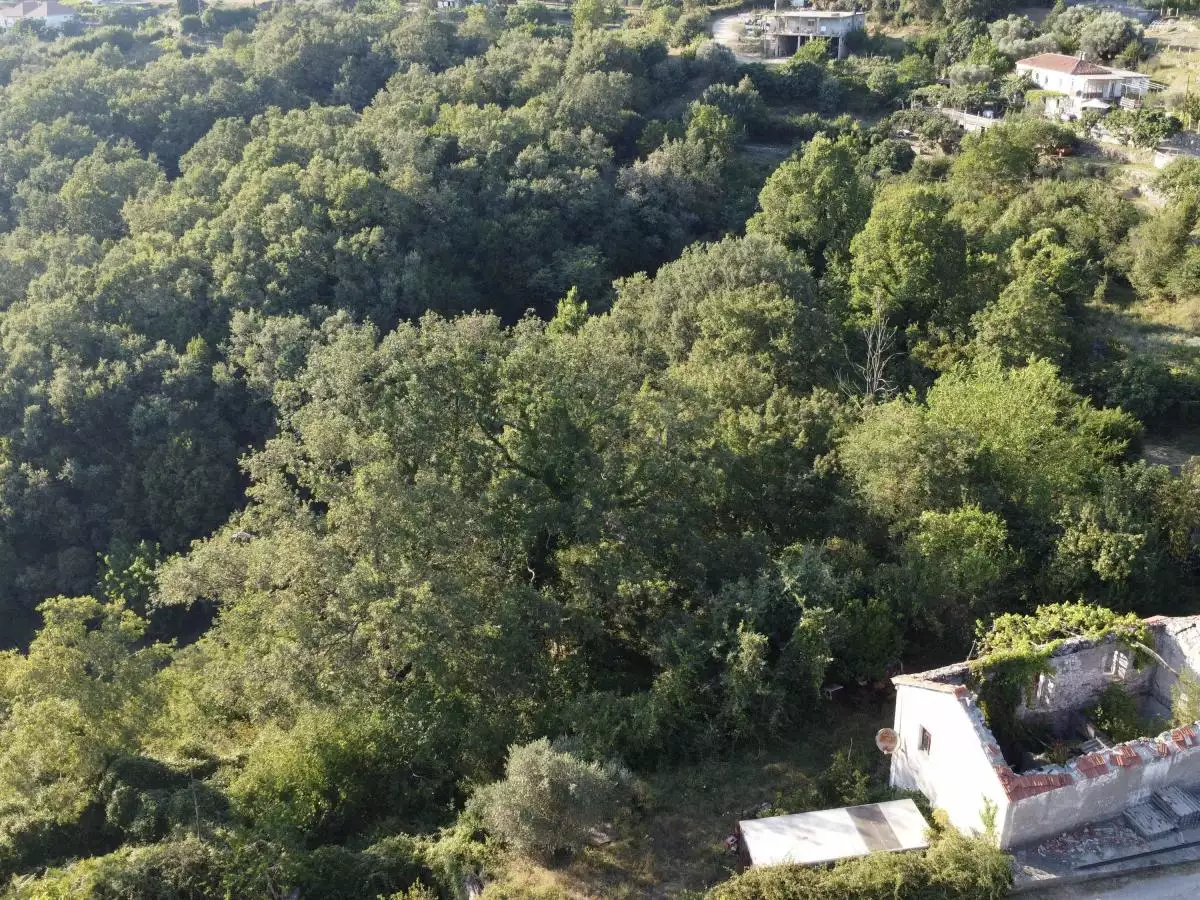 Дом 154м² в Черногории, Утеха. Стоимостью 83000€ аренда фото-2