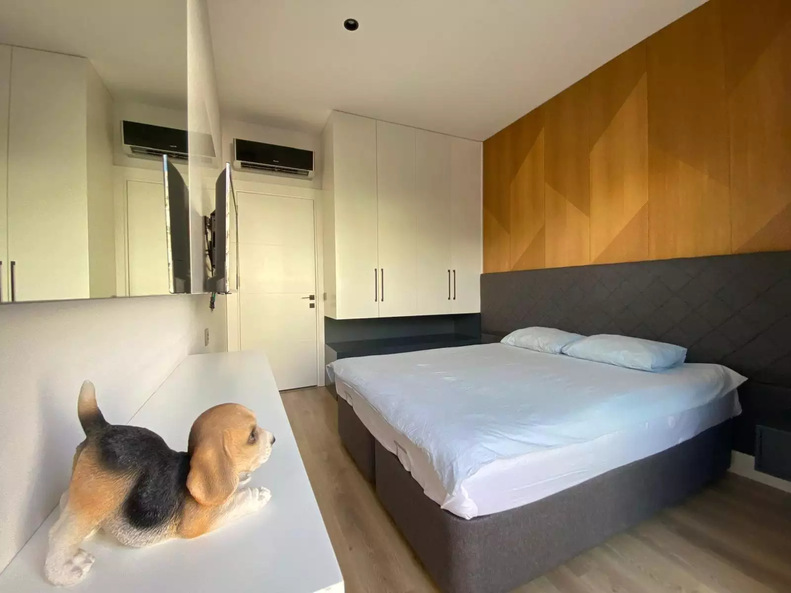 Квартира 55м² в Турции, Аланья. Стоимостью 176000€ аренда фото-5