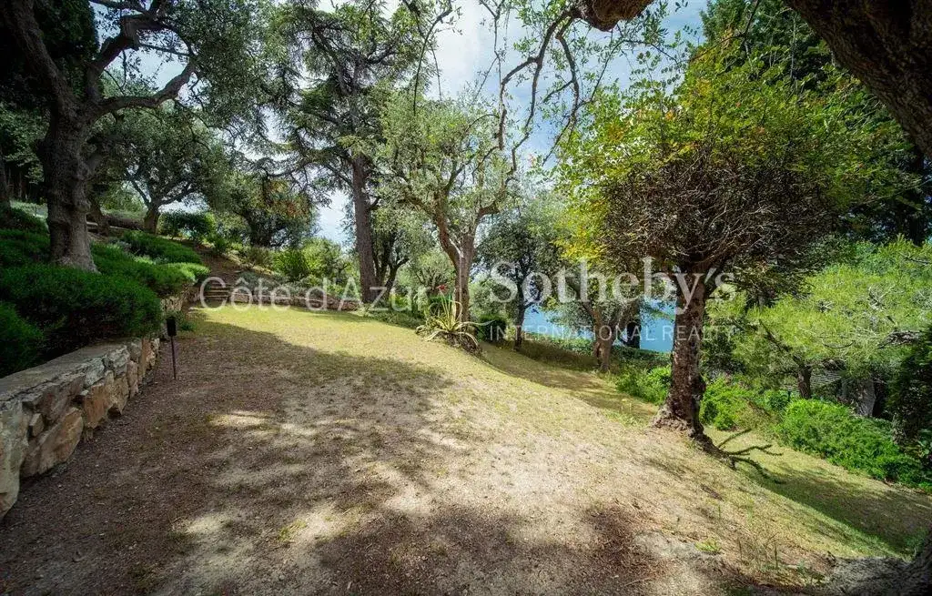 Замок 595м² в Франции, Сен-Жан-Кап-Ферра. Стоимостью 15500000€ аренда фото-11