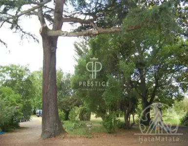 Купить замок в Франции 1050000€