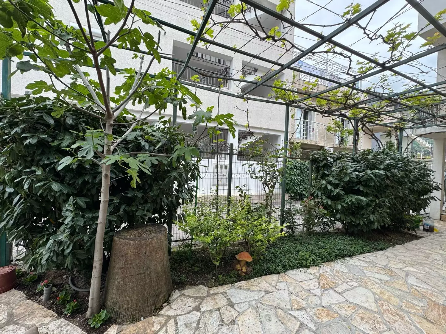 Дом 180м² в Черногории, Сутоморе. Стоимостью 270000€ аренда фото-7