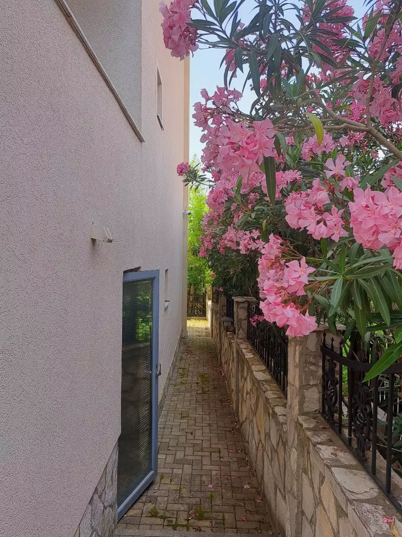 Квартира 28м² в Черногории, Утеха. Стоимостью 65000€ аренда фото-9