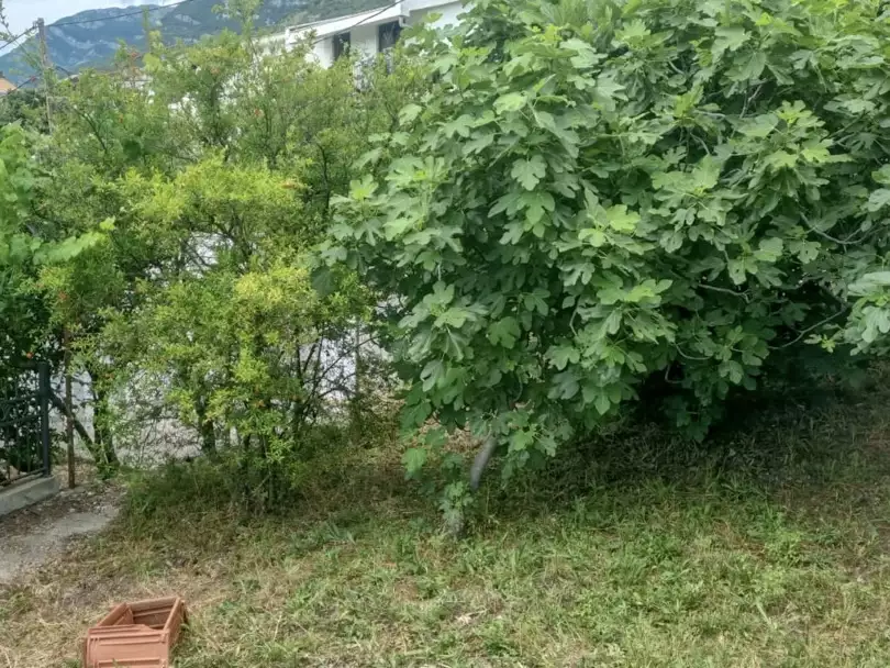 Дом 120м² в Черногории, Сутоморе. Стоимостью 130000€ аренда фото-3
