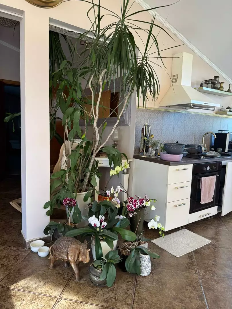 Дом 302м² в Черногории, Бар. Стоимостью 365000€ аренда фото-35