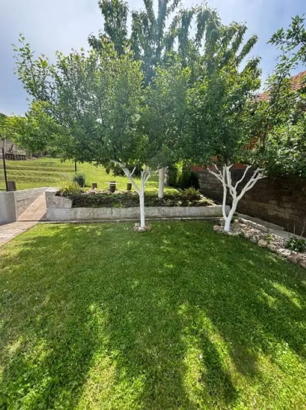 Дом 52м² в Сербии, Ниш. Стоимостью 46000€ аренда фото-14