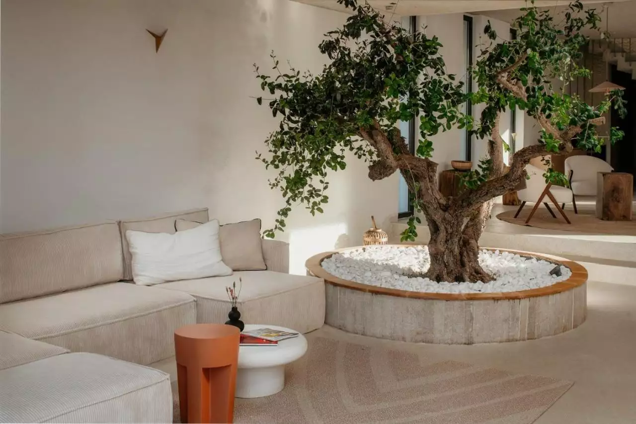 Вилла 270м² в Хорватии, Шолта. Стоимостью 2000000€ аренда фото-18