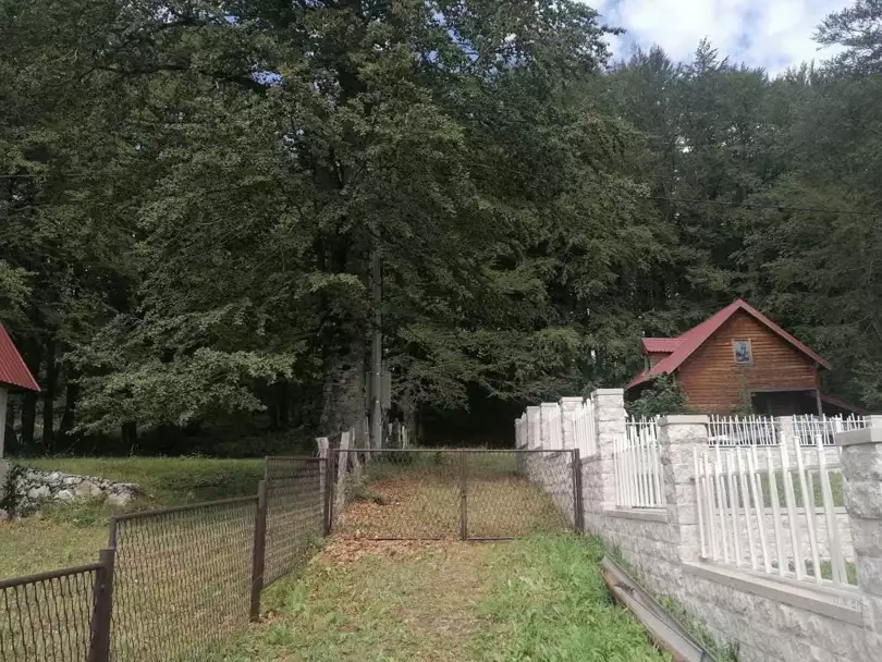 Дом 70м² в Черногории, Жабляк. Стоимостью 149000€ аренда фото-4