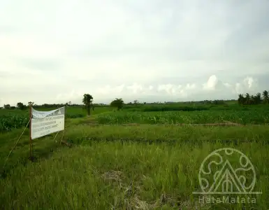 Арендовать земельный участок в Индонезии 530020$
