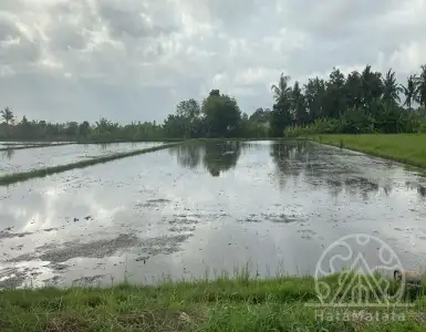 Купить земельный участок в Индонезии 567069$