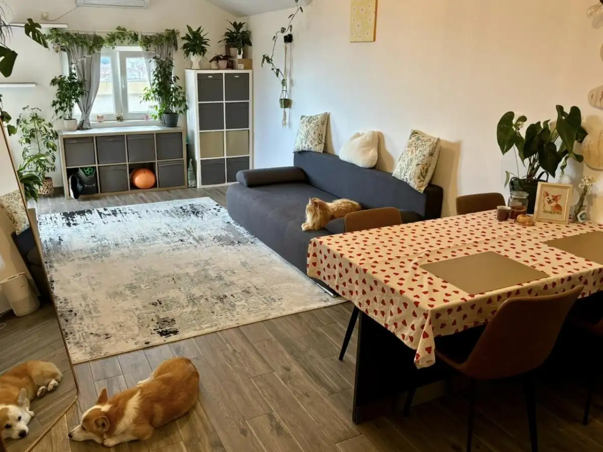 Квартира 45м² в Черногории, Будва. Стоимостью 123000€ аренда фото-3
