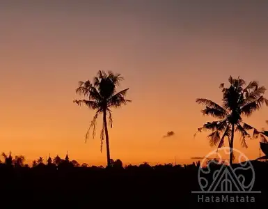 Арендовать виллу в Индонезии 24320$